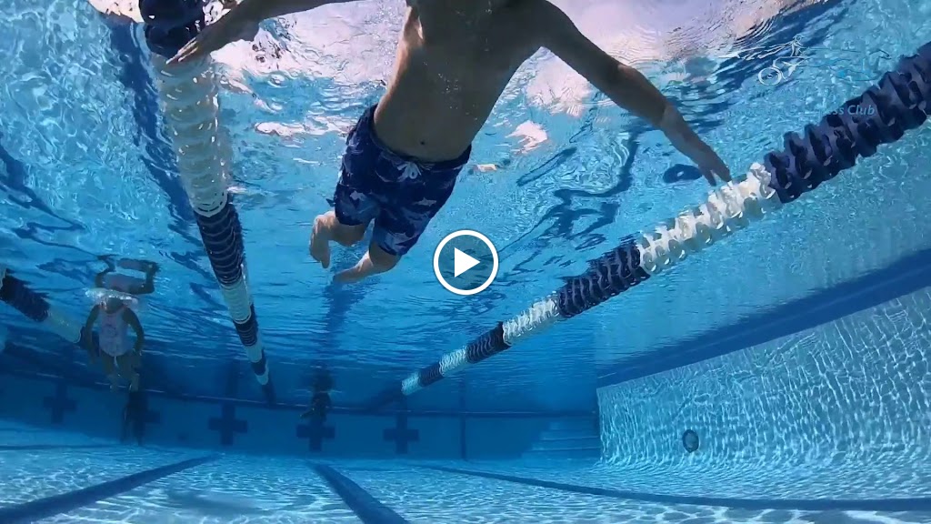  Apollo Beach Racquet & Fitness