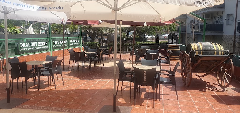 NEW SHAMROCK — Ambiente