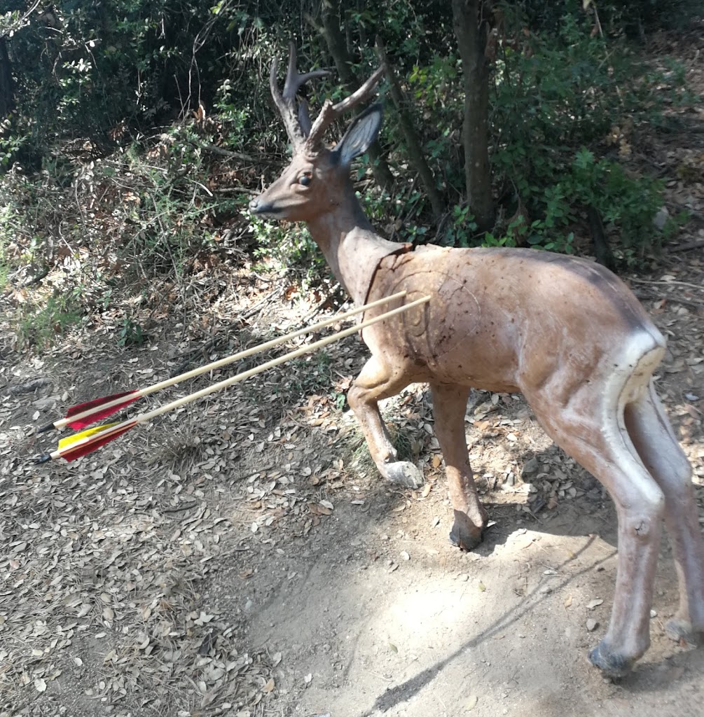 Tiro con Arco Caldes de Montbui - Torre Negrell