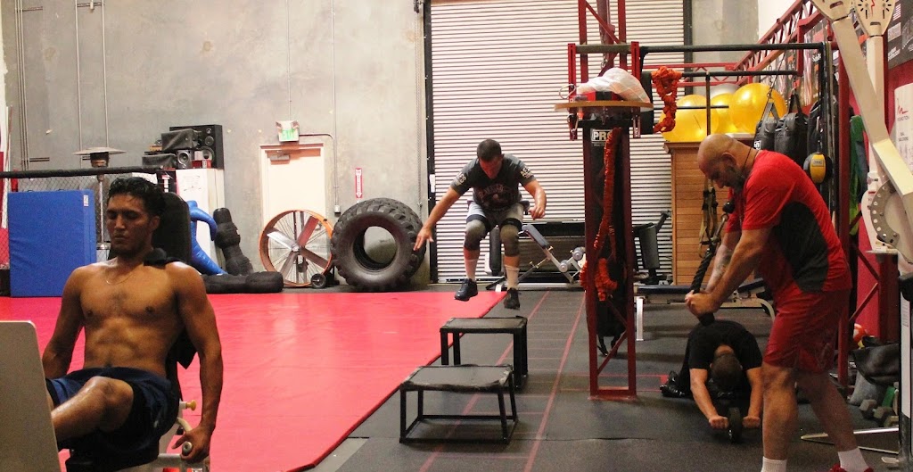  Aguirre's Fighting System