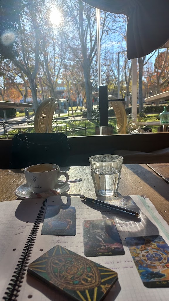Calixta Restaurante | Pozuelo de Alarcon — Ambiente