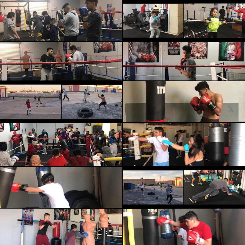  Captain's Battle Ring Boxing Gym