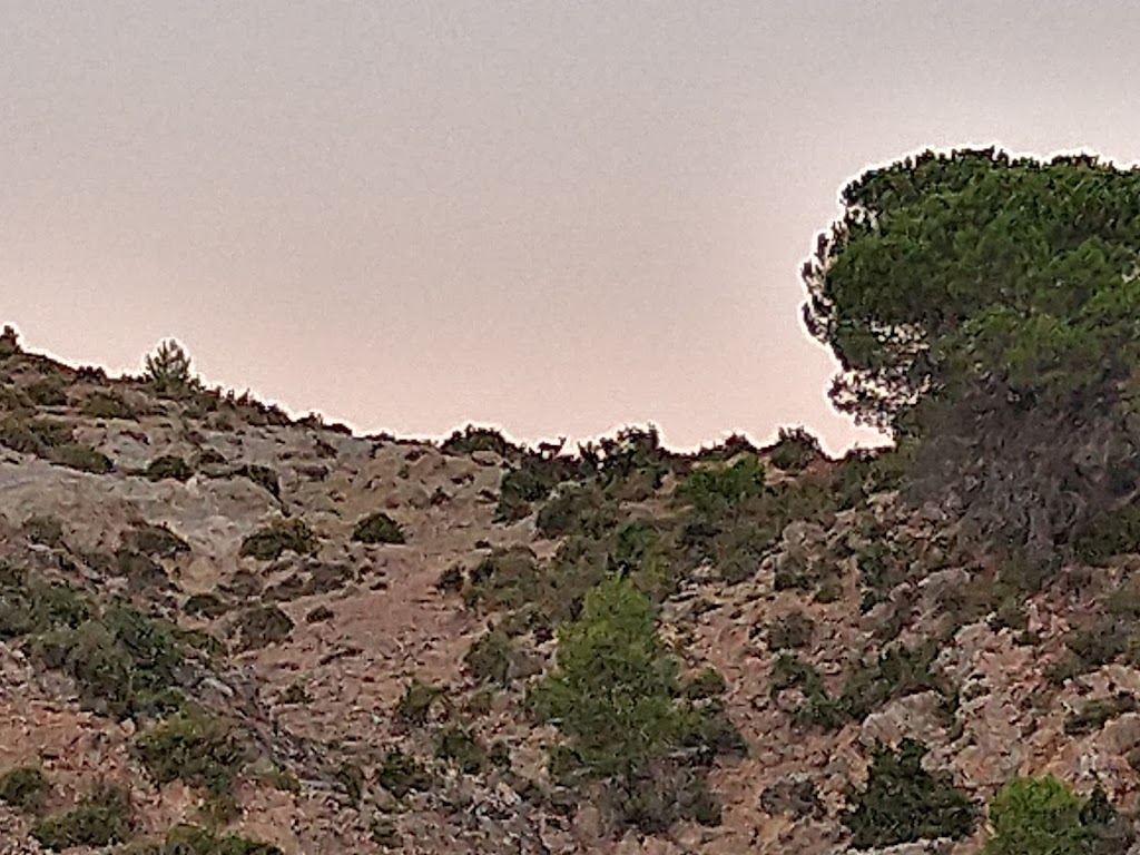Los Palomares