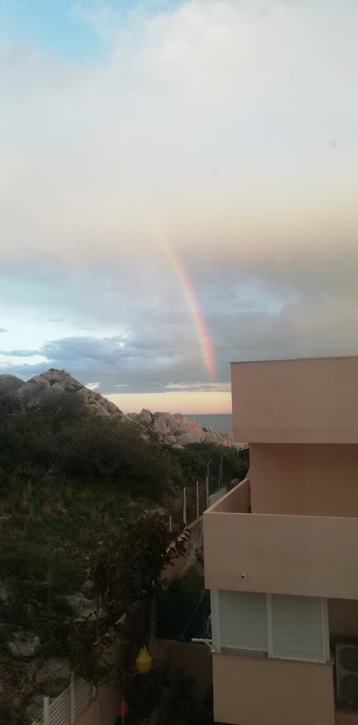 Restaurante Los Olivos del Raco — Mas recientes
