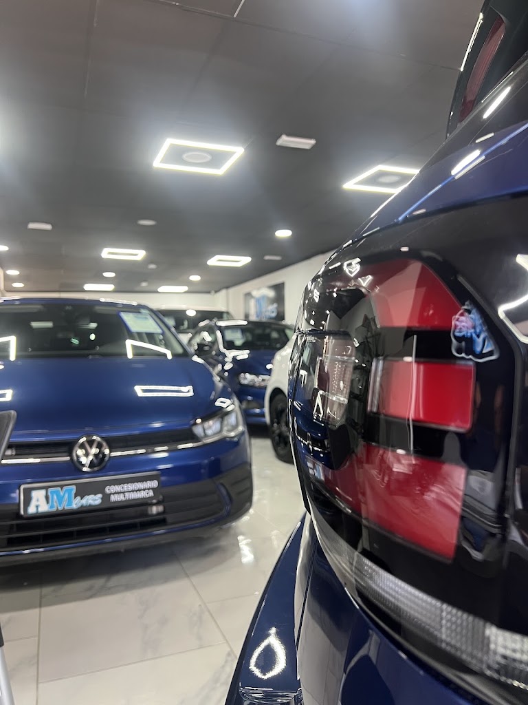 AMCARS AUTOMOCION S.L. — Del propietario