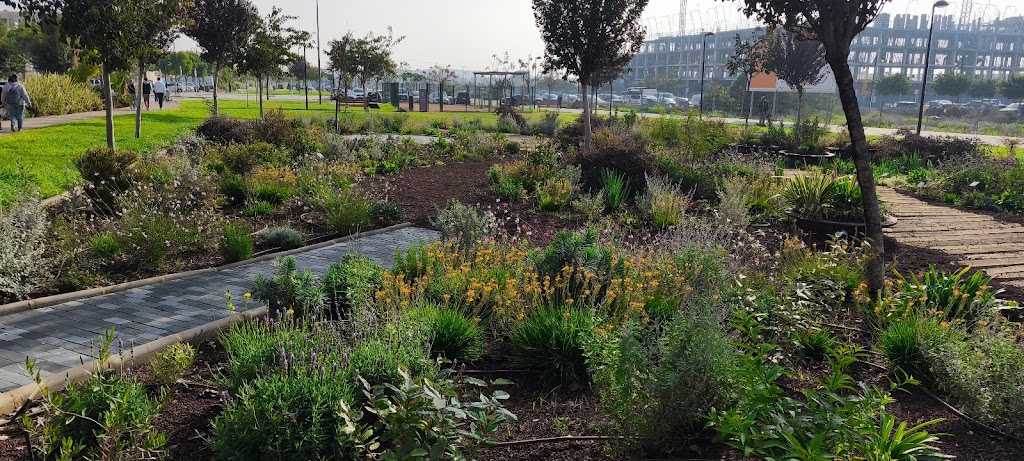 Jardin experimental y sensitivo