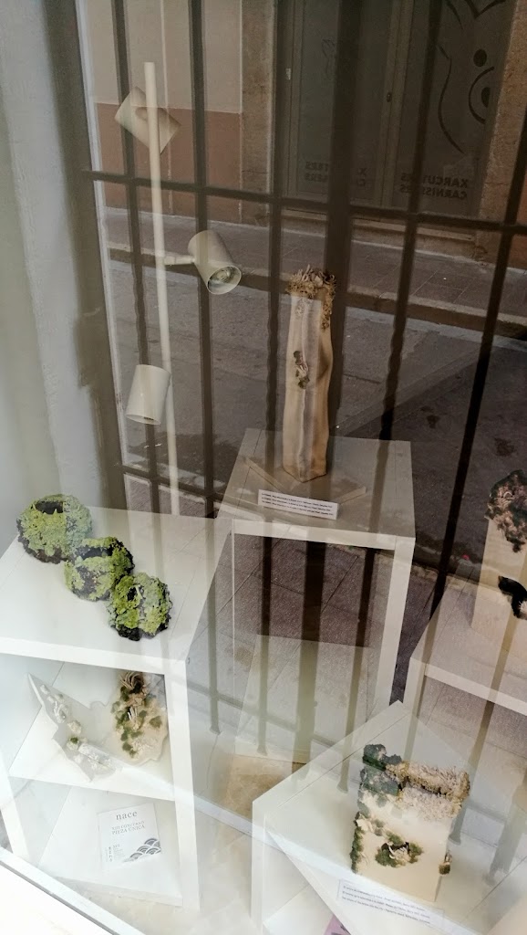 Escaparate / Showcase/Aparador/Vitrina