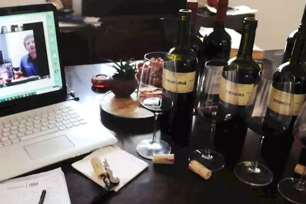 Serendipia Formacion