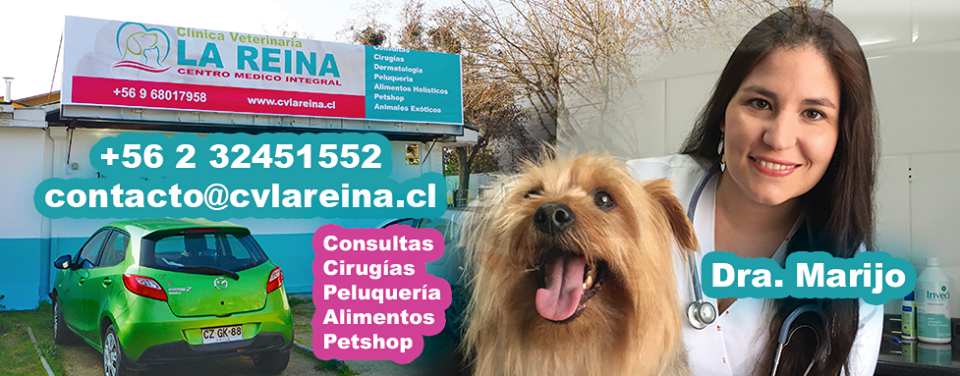 Clínica Veterinaria La Reina en La Reina