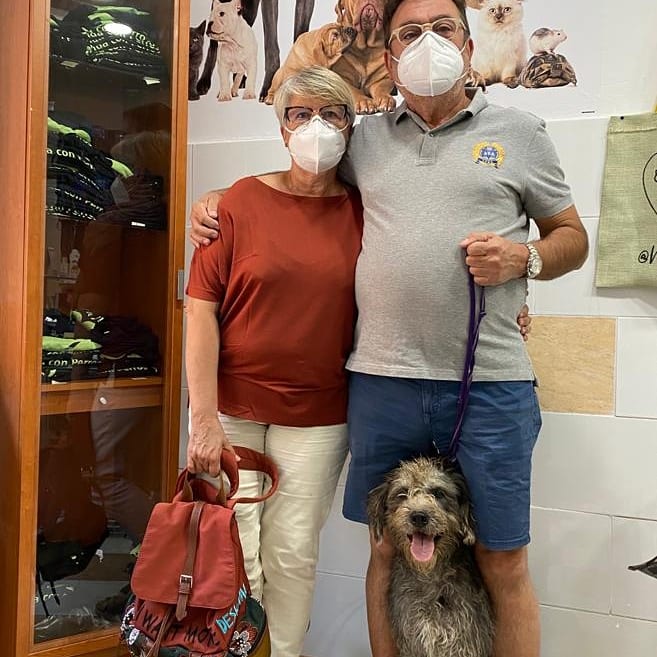 Clinica veterinaria San Esteban & Vida con Perros — Del propietario