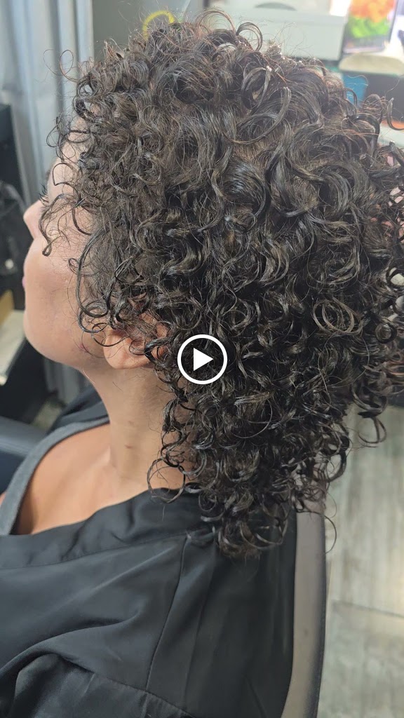 Rocio Rivera Estudio — Videos