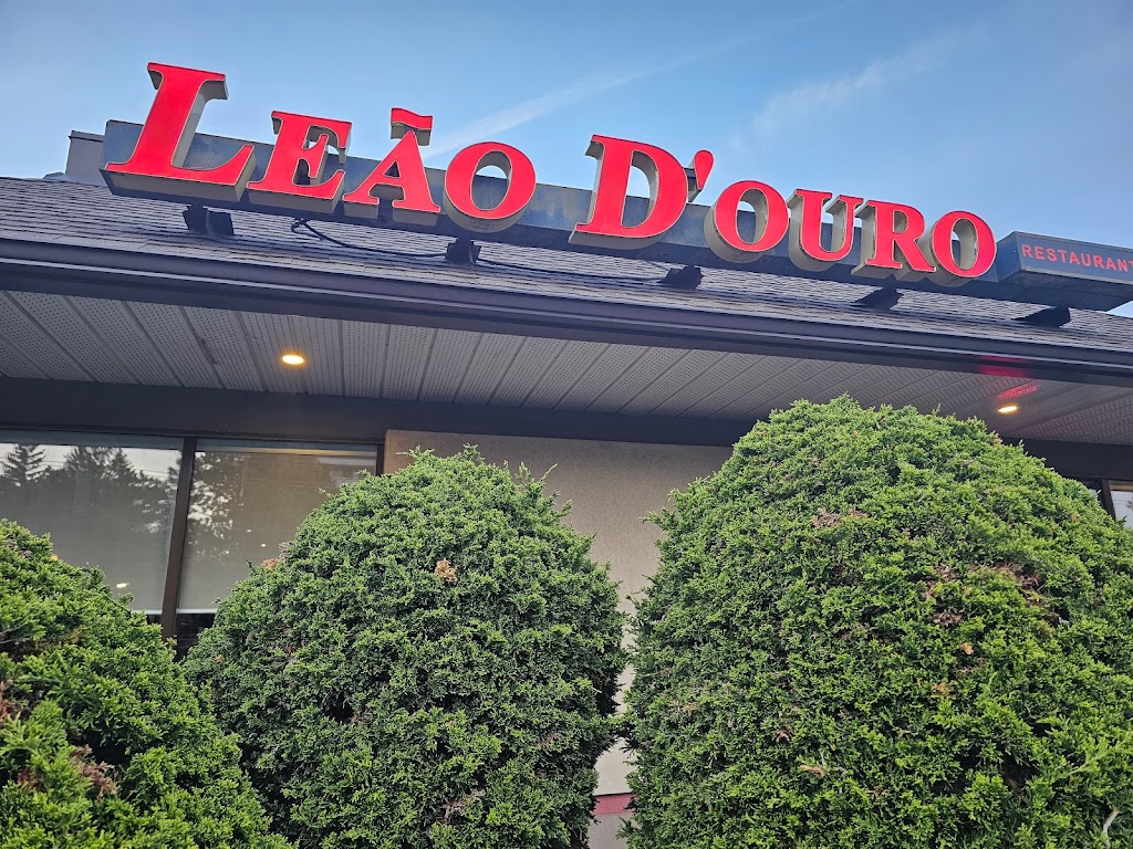 Leão d'Ouro