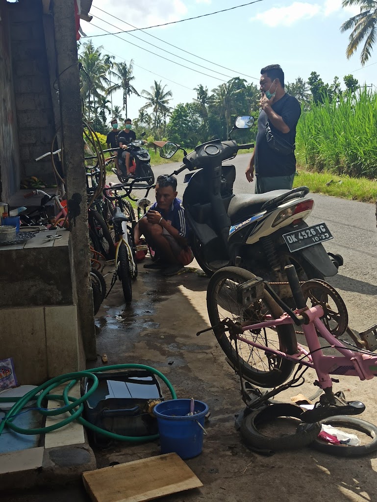 ANDY MOTOR