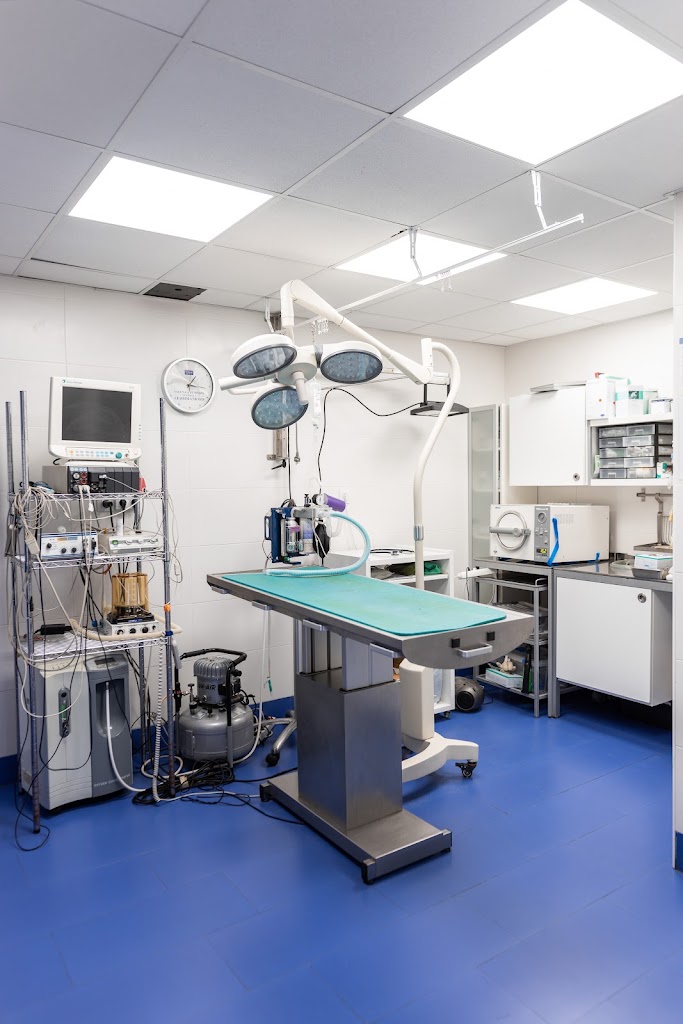 Clinica Veterinaria Nuevo Ensanche — Del propietario