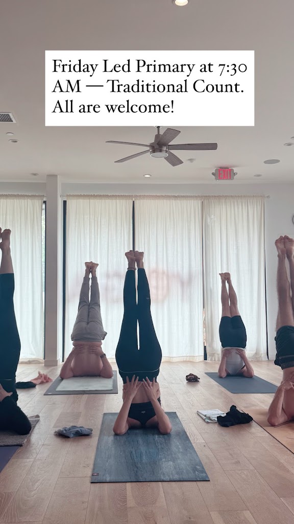  AYLA Collective (Ashtanga Mysore Program)