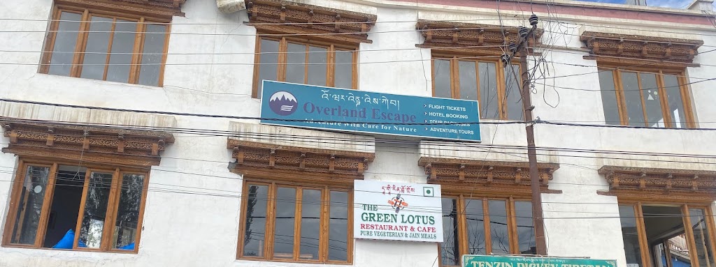 The Green Lotus Cafe Restaurant Leh Ladakh