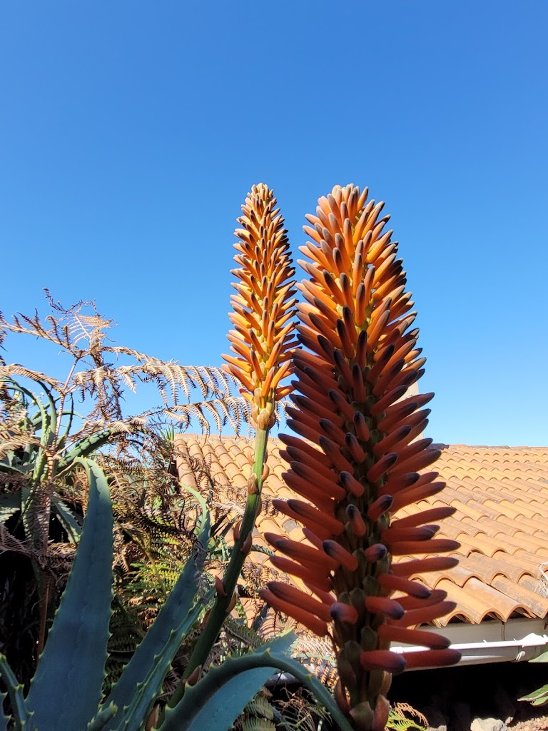 El Tanque / Finca Los Corrales