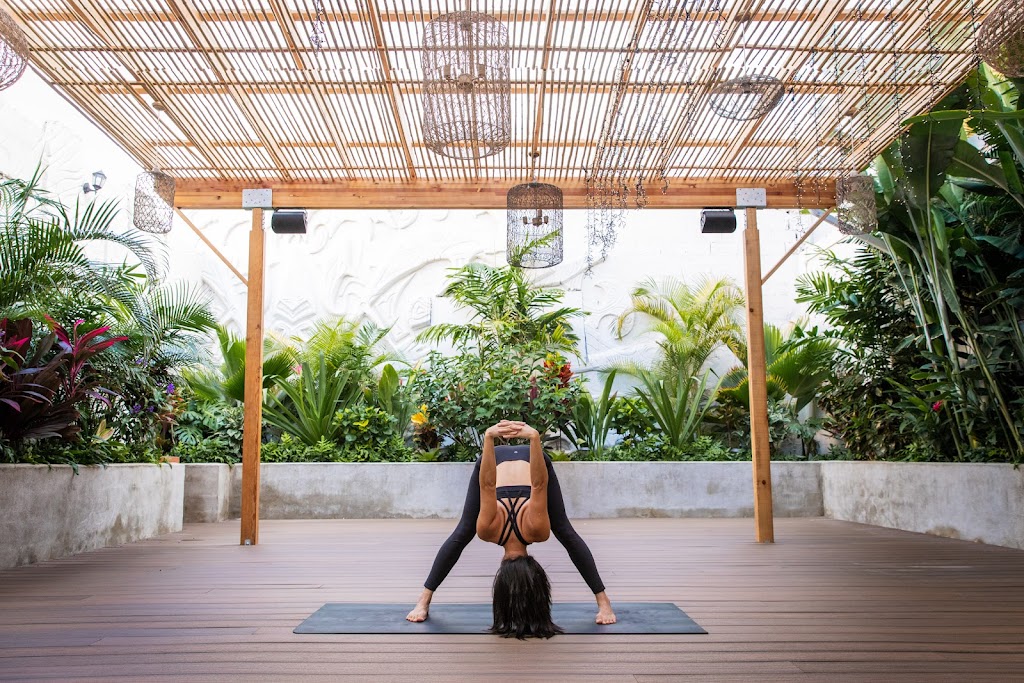  Yoga Under the Palms Kaimukī