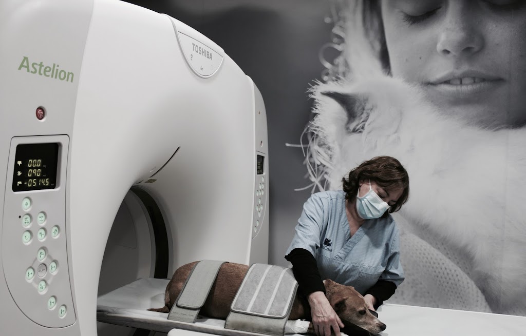 AniCura Vetamic Clinica Veterinaria