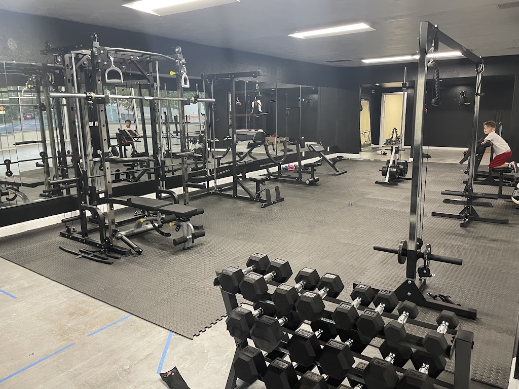  Tortoise Shell Boxing