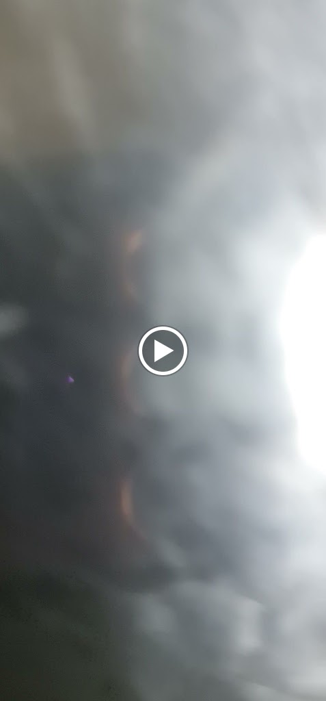 La Cuina D'Alfred — Videos