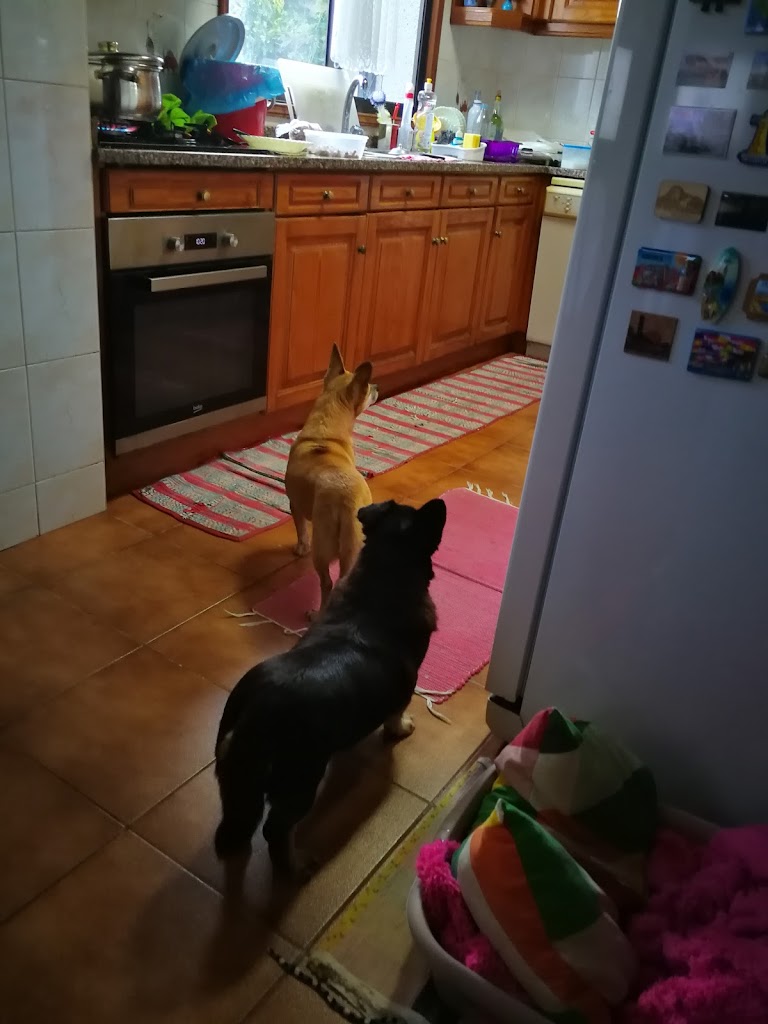 Foto da avaliação