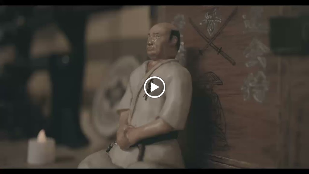 Bushikai Dojo karate Kyokushin — Videos