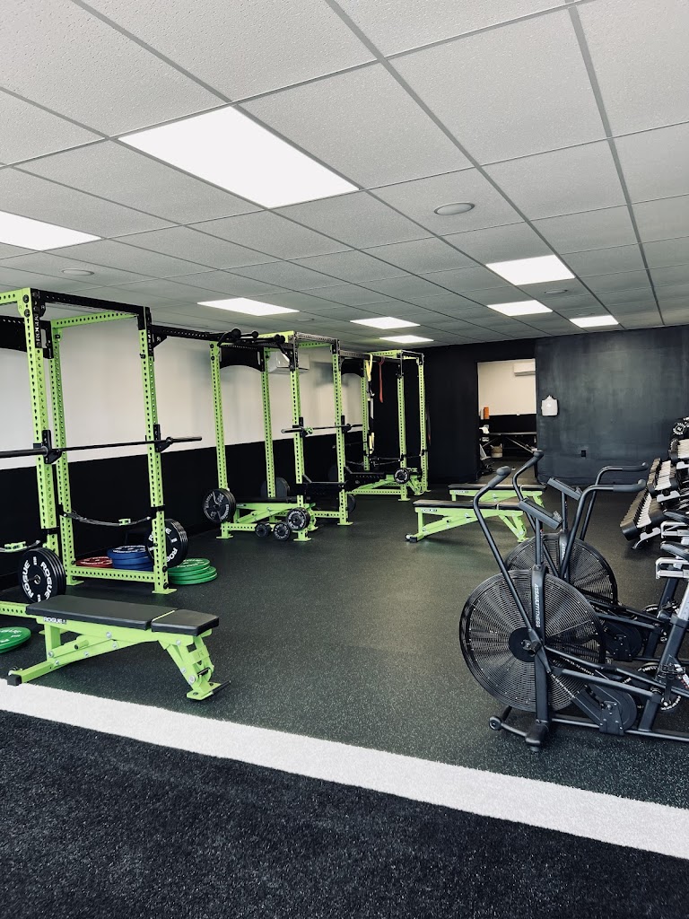  Apex Training & Performance