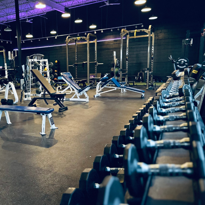  Fortify Athletics and Therapeutics