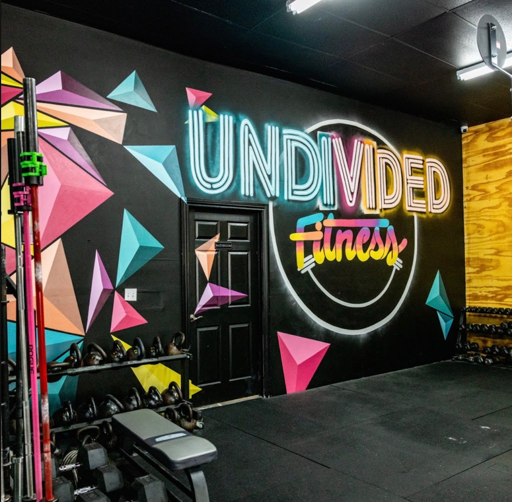  Undivided Fitness