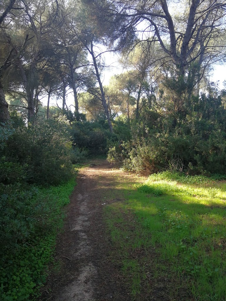 Via pecuaria cordel del camino de los Playeros
