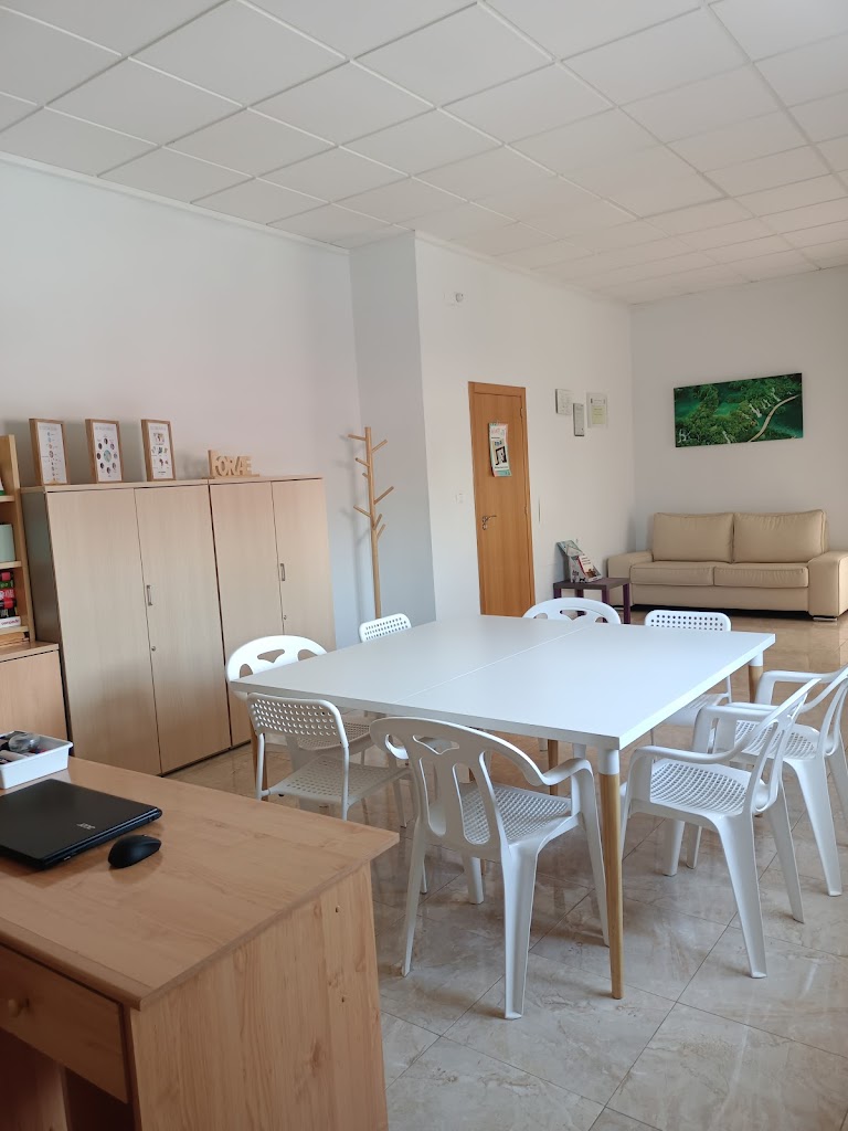 FORAE - Academia de clases particulares