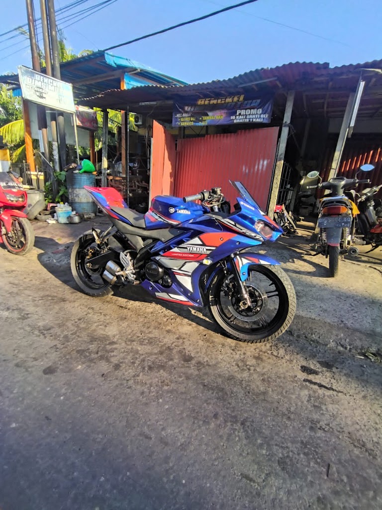 RJM Motor