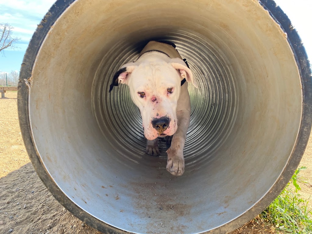 Pipican Parc Central