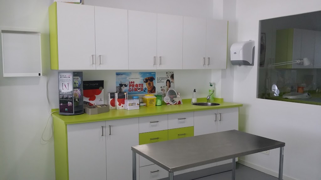 Tropican Clinica Veterinaria — Del propietario