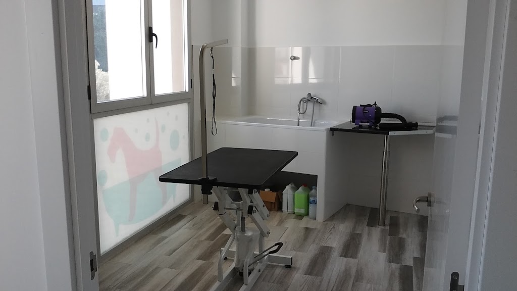 Clinica Veterinaria Roig — Del propietario