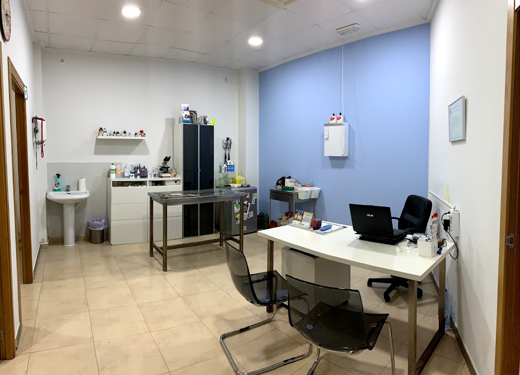 Centro Veterinario Salut Animal — Del propietario