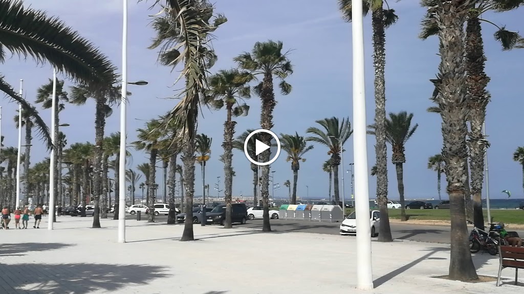 Restaurant Ocean — Videos
