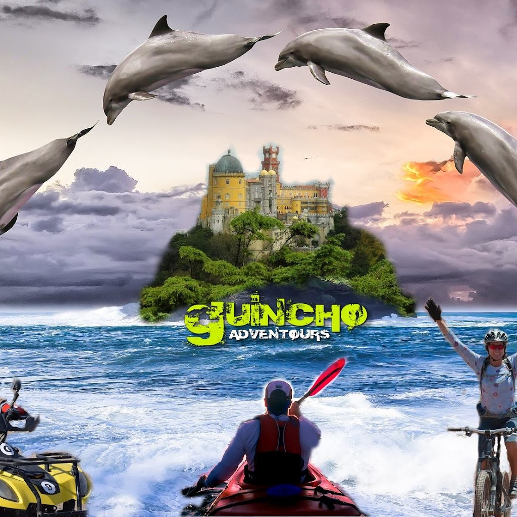 Operador Turístico em Cascais