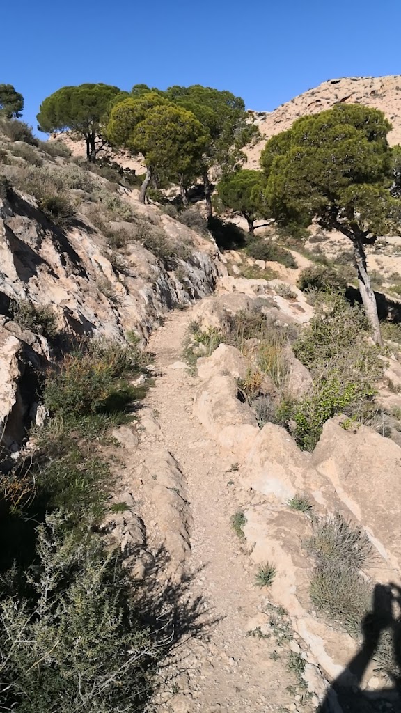 Cortijo los Pinos