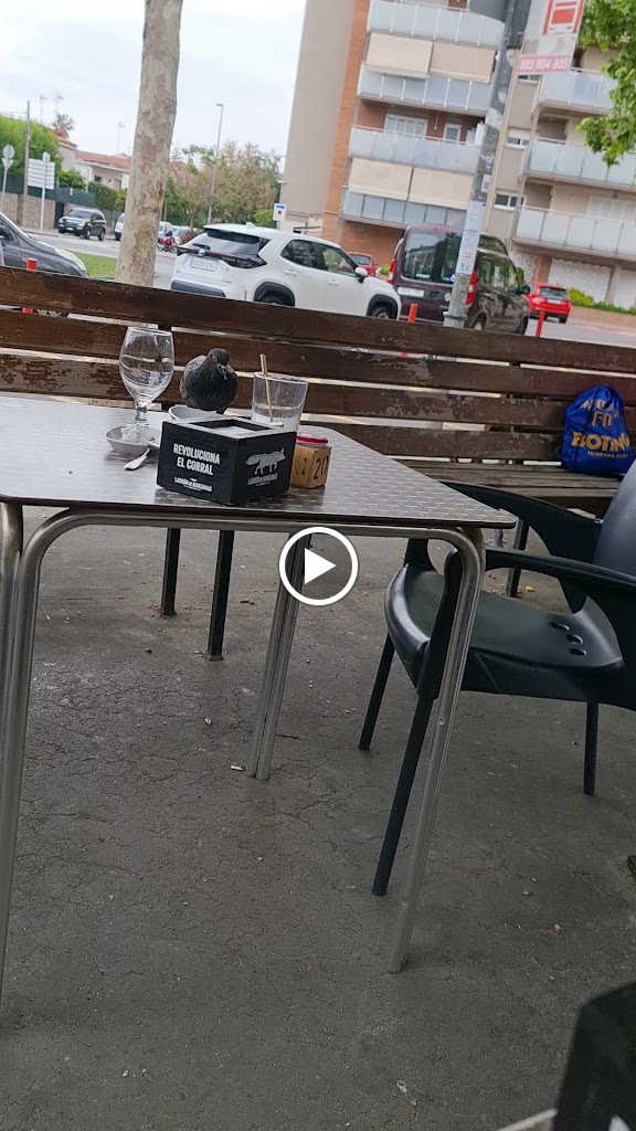 Taperia la Rotonda — Videos