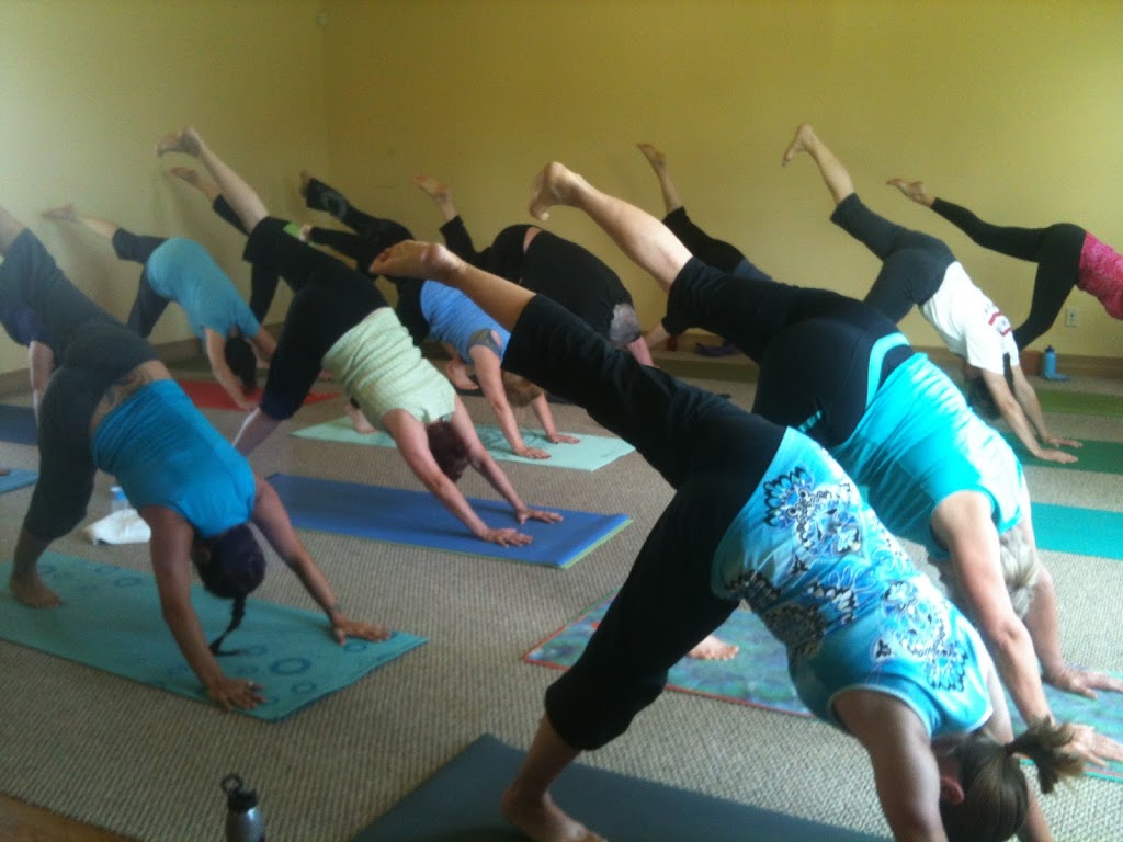  Crescent Yoga Studio & Eco-Boutique
