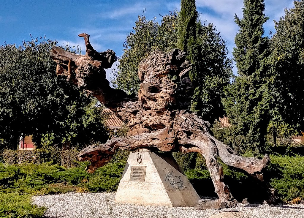 Jardin Del Dragon