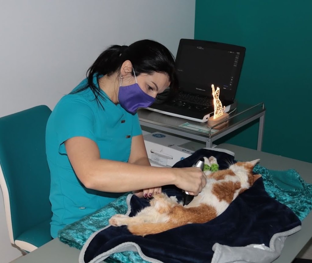 La Clinicat — Del propietario