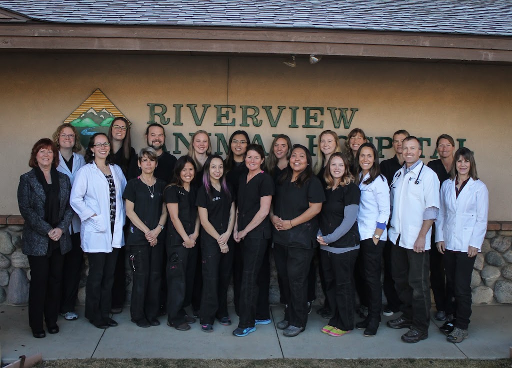 Riverview Animal Hospital en Durango