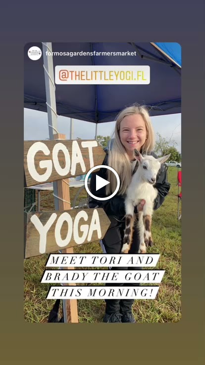  The Little Yogi - Goat Yoga Tampa