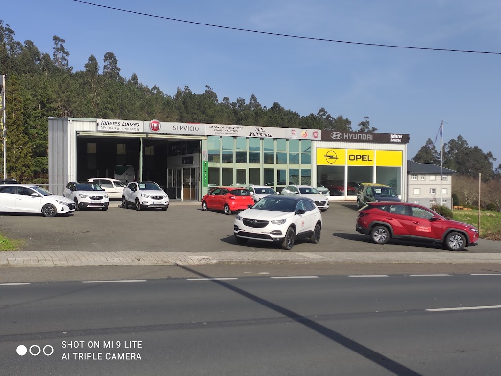 Talleres Louzao - HYUNDAI - KIA - OPEL - FIAT — Del propietario