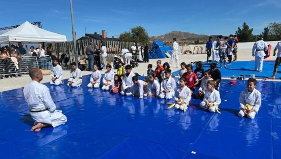 Shotokan Karate Colmenar Viejo (Club Bushido) — Entrenamiento