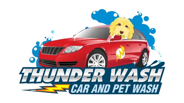 Thunder Wash Car and Pet Wash