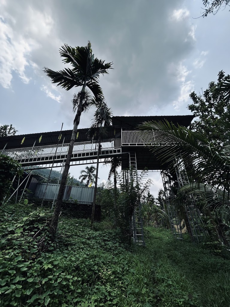 Misty Dale Resorts